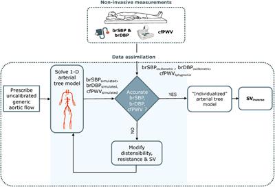 Validation of a Non-invasive Inverse Problem-Solving Method for Stroke Volume